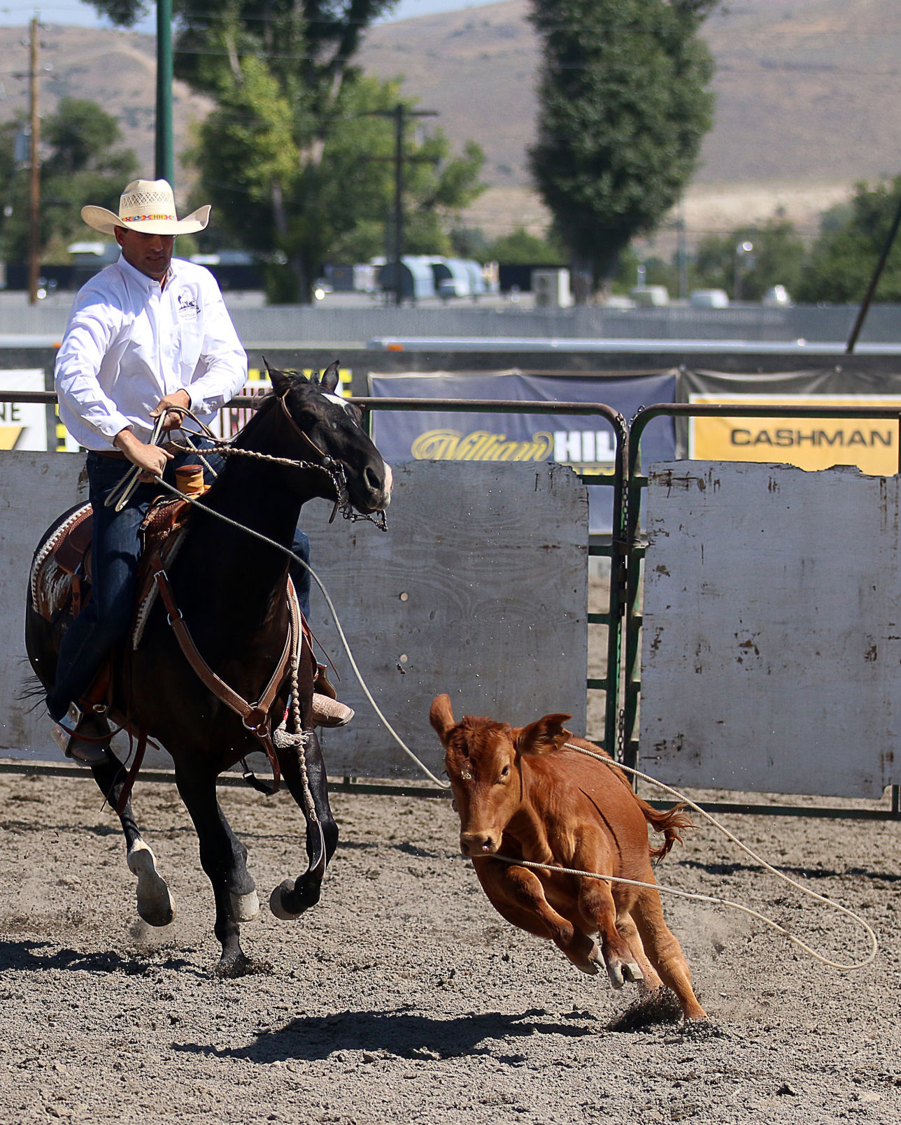 2018 Elko County Fair Open Branding Finals (36).JPG